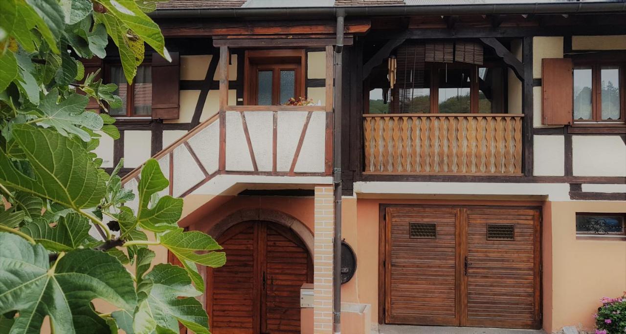Apartamento La Valériane Kintzheim Exterior foto